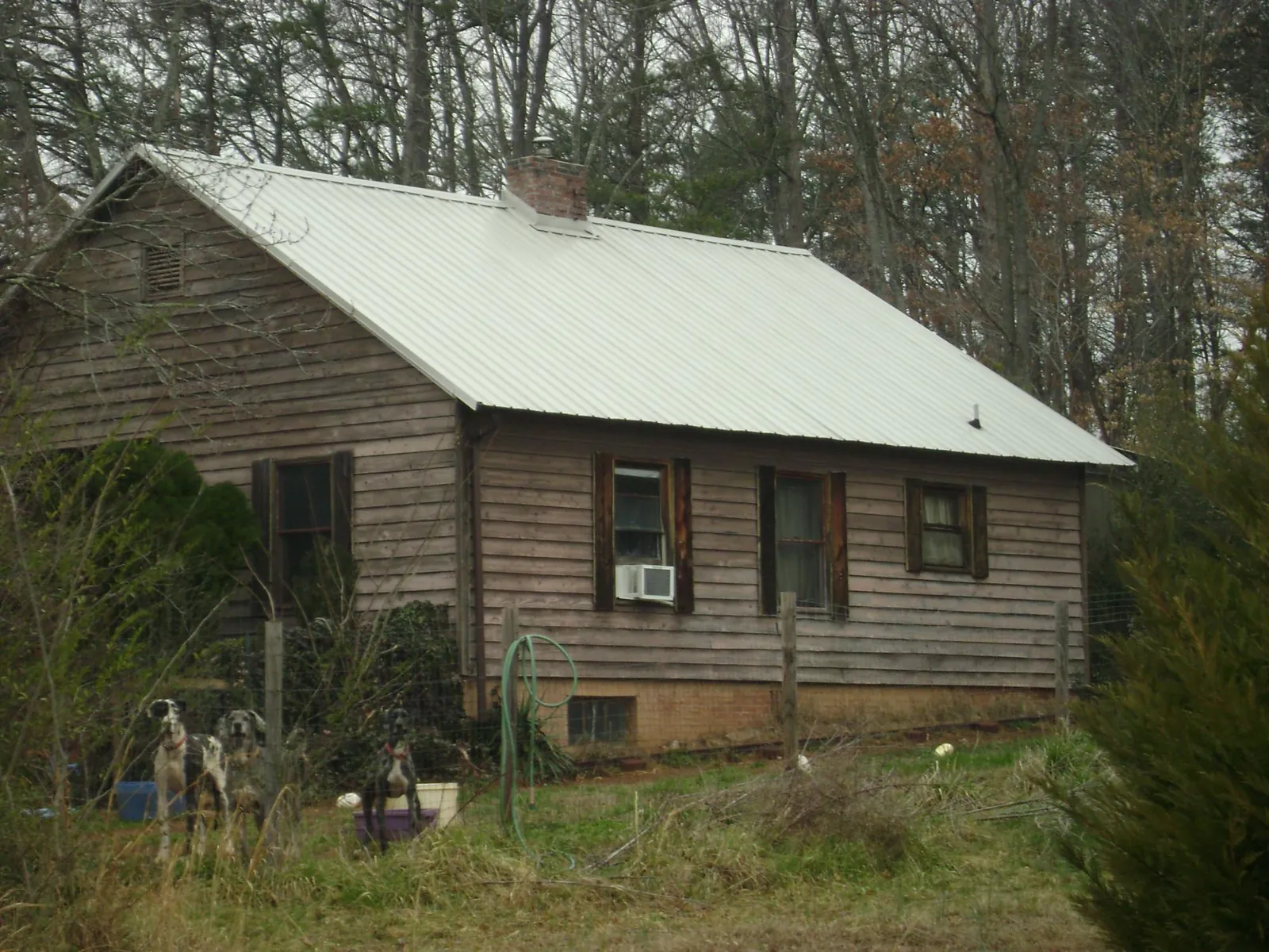 White metal roof on an old wood sided farmhouse, from a Metal Roof Installation job in Mongo